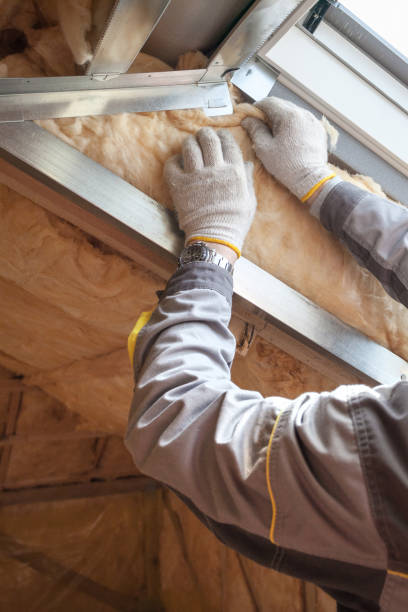 Types of Insulation We Offer in Shoreacres, TX